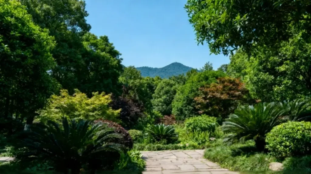 Chongqing Nanshan Botanical Garden