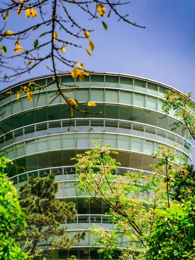Chongqing Nanshan Yikeshu Viewing Platform